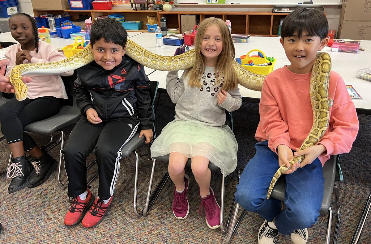 MrsBak2nd's tweet photo. Enjoyed our time with Science Alive today! We met a chinchilla, armadillo, alligator, anteater, and a Burmese python! It was so fun learning about the special features of each animal, and being up close and personal with them! @MBEMUSTANGS #mustangproud https://t.co/QsMtGTRKeI