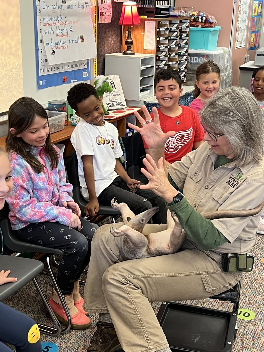 MrsBak2nd's tweet photo. Enjoyed our time with Science Alive today! We met a chinchilla, armadillo, alligator, anteater, and a Burmese python! It was so fun learning about the special features of each animal, and being up close and personal with them! @MBEMUSTANGS #mustangproud https://t.co/QsMtGTRKeI