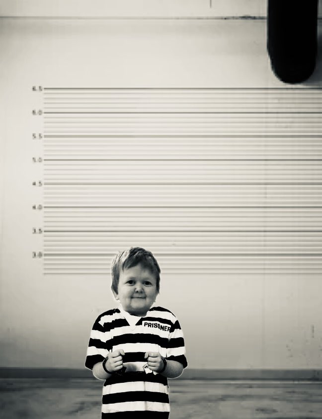 Hasbulla On Twitter Who Gonna Put Money On My Books FreeBulla hasbulla-on-twitter-who-gonna-put-money-on-my-books-freebulla