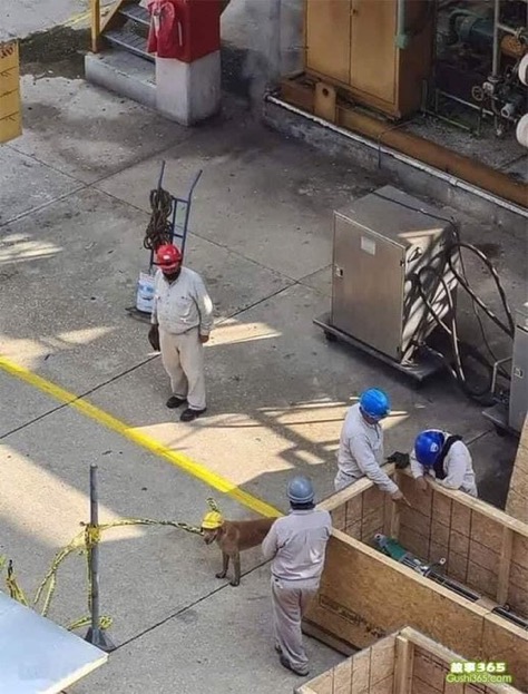 o esforço de hoje, é o reflexo de amanhã 🫡