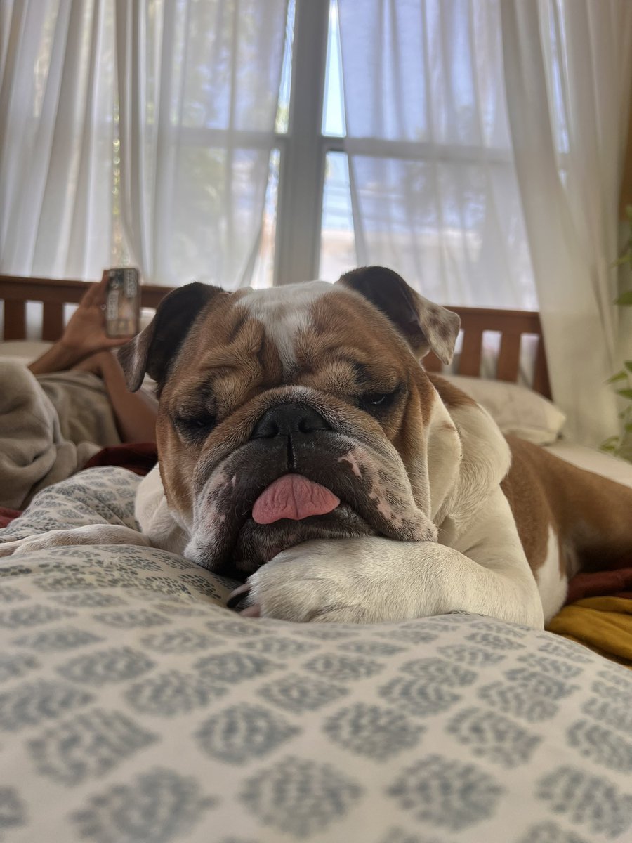 mrs. hoe rogers on Twitter "stiiiink boy"