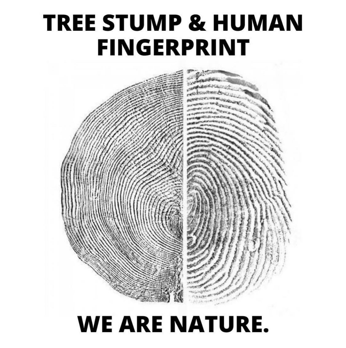 CoCreCo's tweet image. “Man did not weave the web of life, he is merely a strand in it. Whatever he does to the web, he does to himself.” #ChiefSeattle

🎨: #TheFarWoods