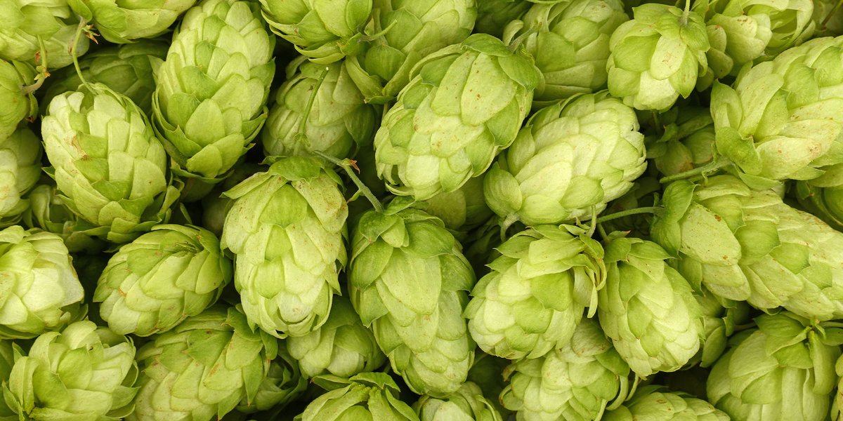 Fox's Den tweet media