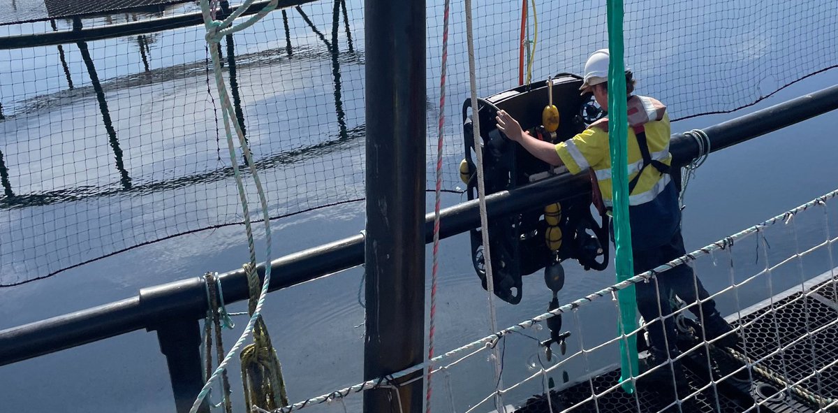SOSub have developed new underwater #robotic #technology that efficiently, inexpensively, and safely repairs nets in aquaculture pens. 
The company were awarded an Accelerating #Commercialisation grant of $988,000 under the #EntrepreneursProgramme. 
bit.ly/3NRtiR8
