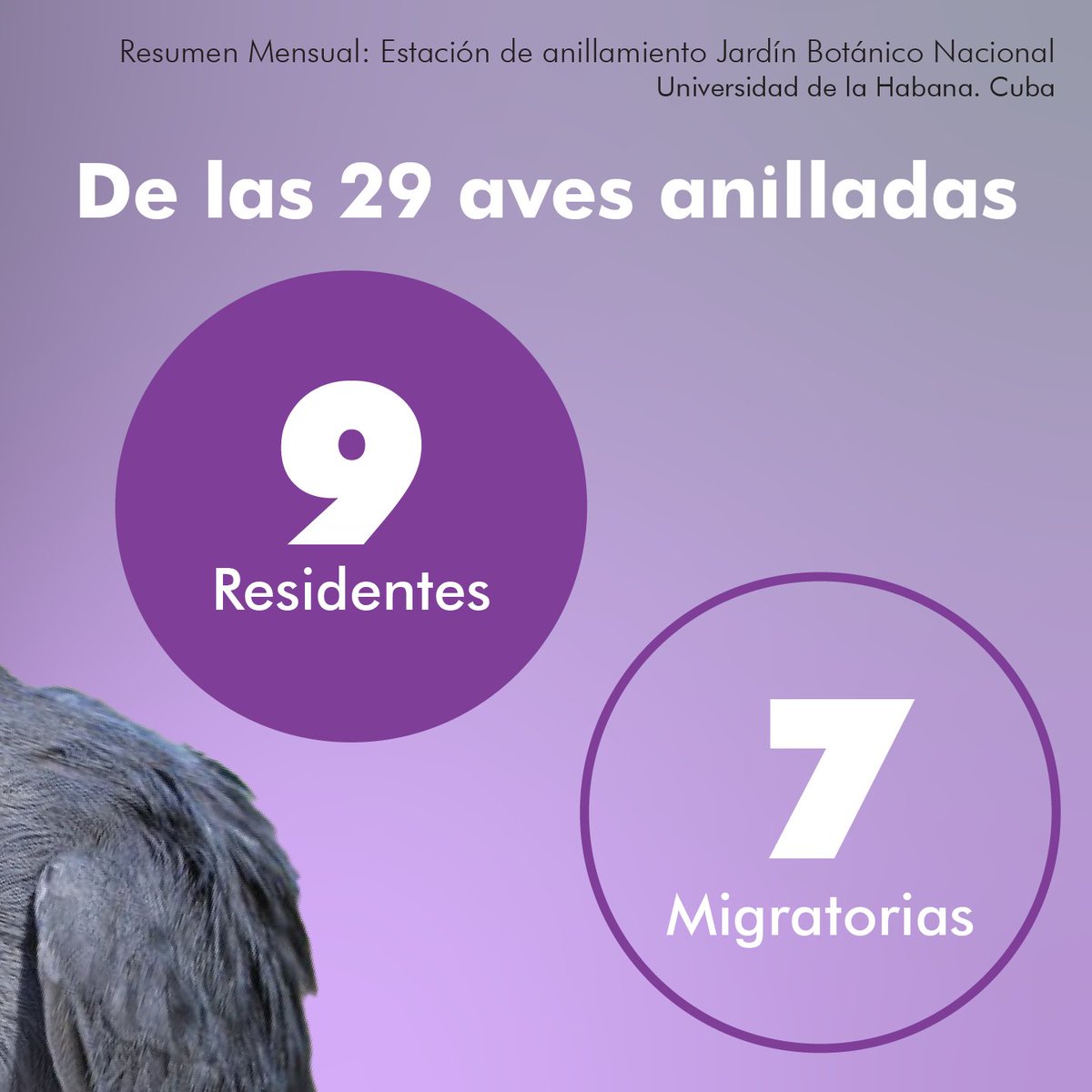 dv_puerto's tweet photo. https://t.co/kDuxEIrPfm