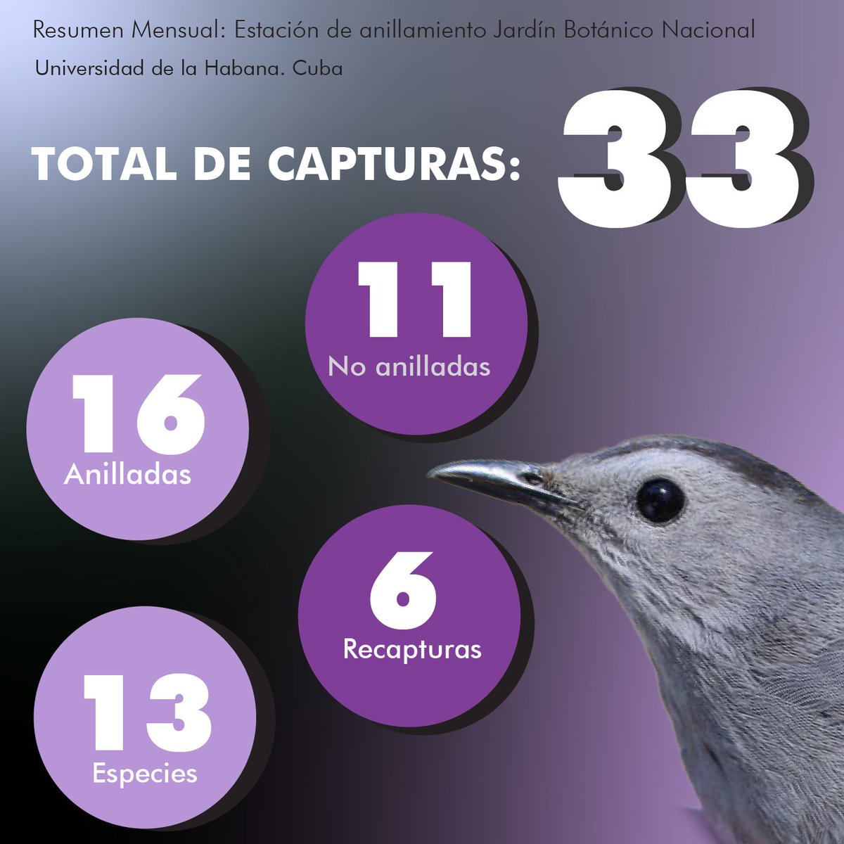 dv_puerto's tweet photo. https://t.co/kDuxEIrPfm