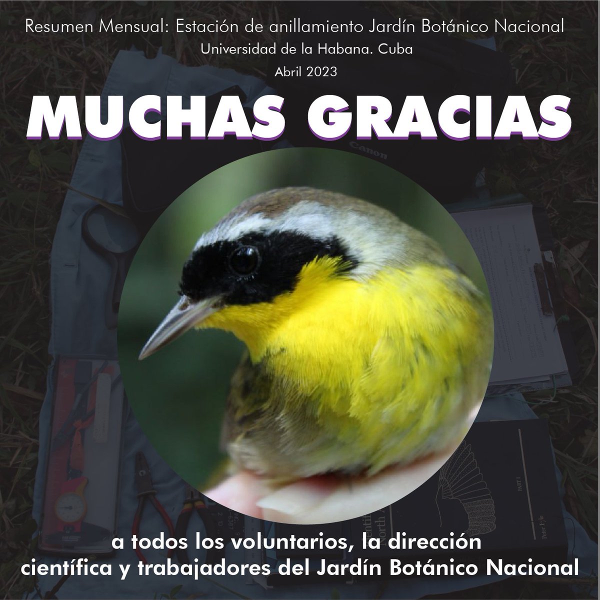 dv_puerto's tweet photo. https://t.co/kDuxEIrPfm