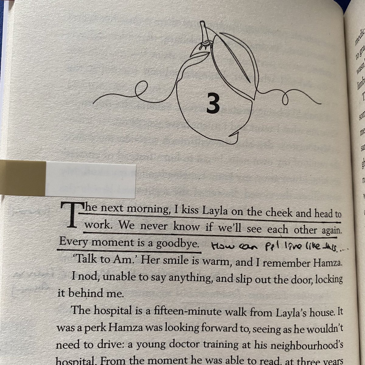 AirinEfferin's tweet image. as long as the lemon trees grow #annotations