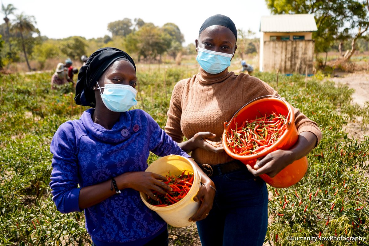 Starfish International tweet media