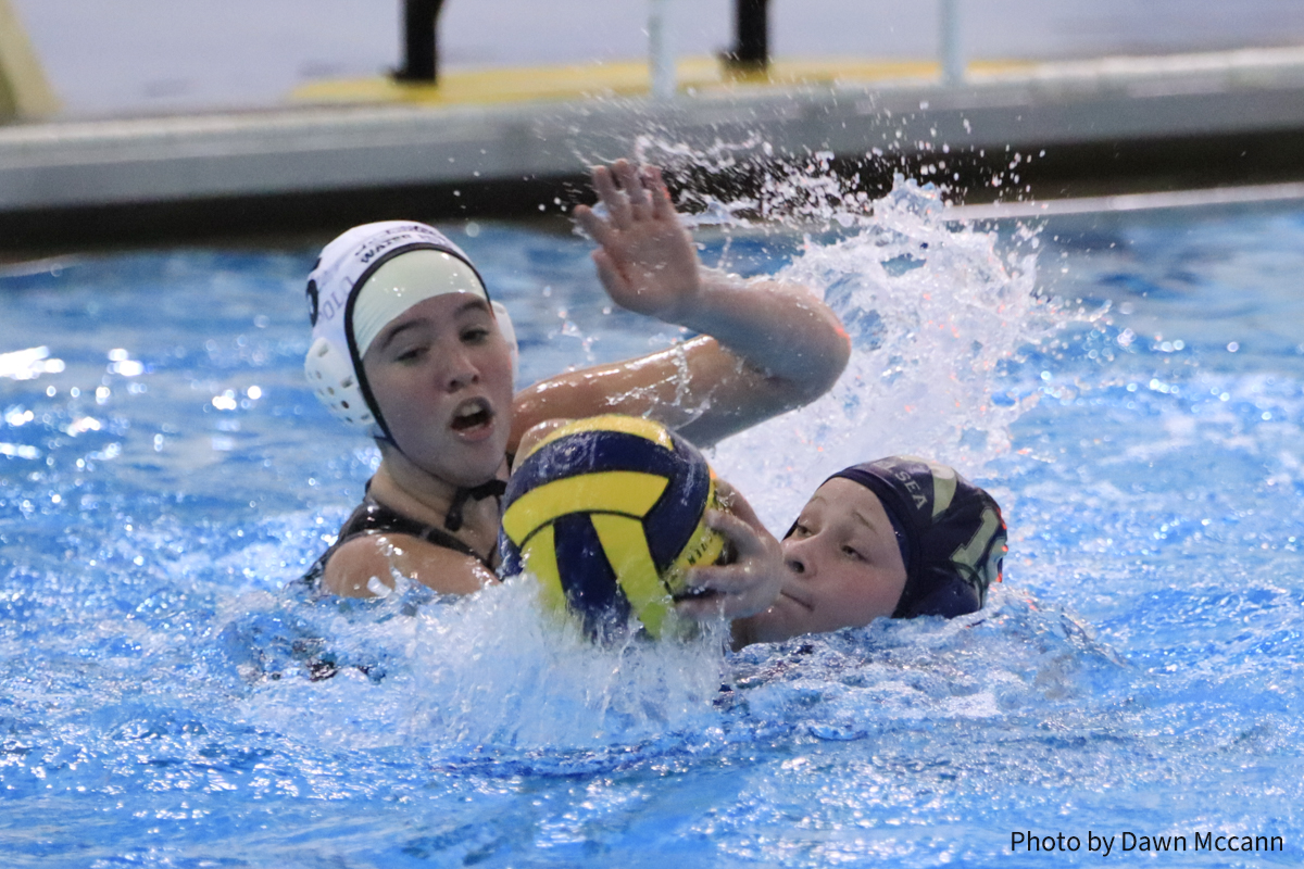 SunTimesNews Sports tweet media