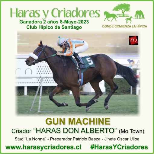 harasycriadores's tweet photo. GUN MACHINE criada en HARAS DON ALBERTO (hija de Mo Town) Vencedora Condicional Hembras 2 años No Ganadoras sobre 1600 metros en Club Hípico de Santiago el Lunes 8 de Mayo de 2023 https://t.co/JCoAH9UfxY #HarasYCriadores #GunMachine #HarasDonAlberto #MoTown #ClubHípicoSantiago https://t.co/zjF5GT91jg