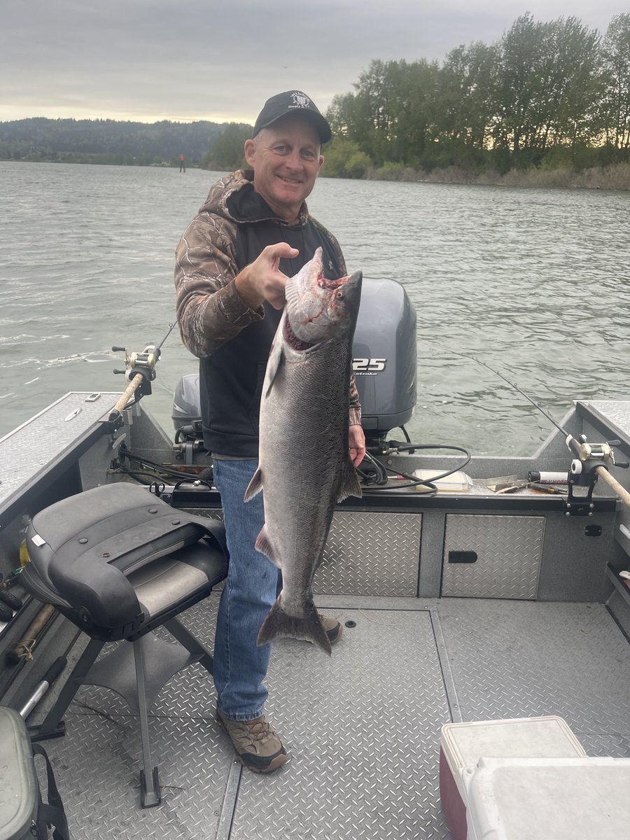 CConnTtr's tweet photo. Found a good one on the Willamette! #springchinook https://t.co/JxHr1bA17r