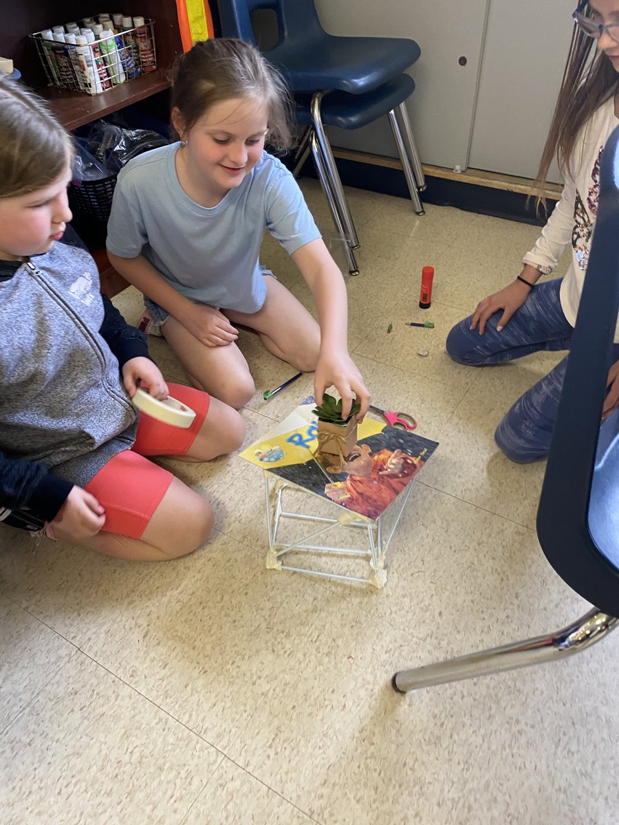 MissDiLibero's tweet photo. Building and testing our straw structures. Working together to find ways to strengthen our structure. @orchardparkdsbn #opps #grade3science https://t.co/bbO6lBTp8B