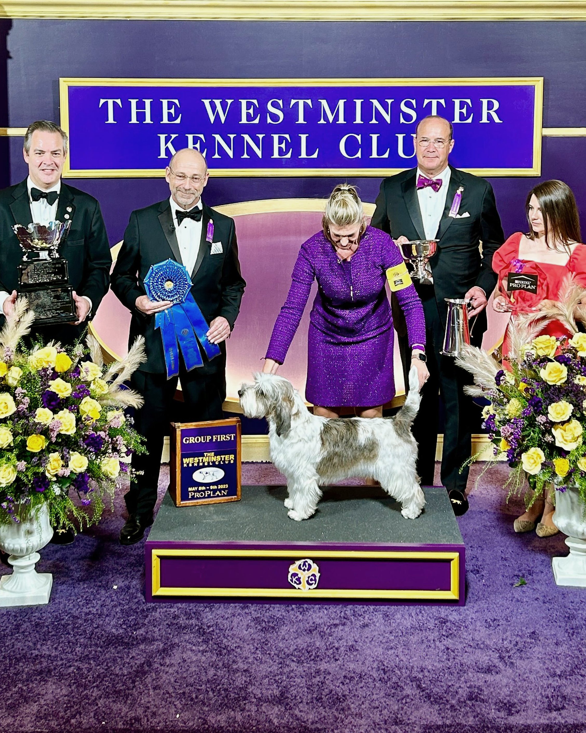 Westminster Dog Show on Twitter "Another shot of the Hound Group