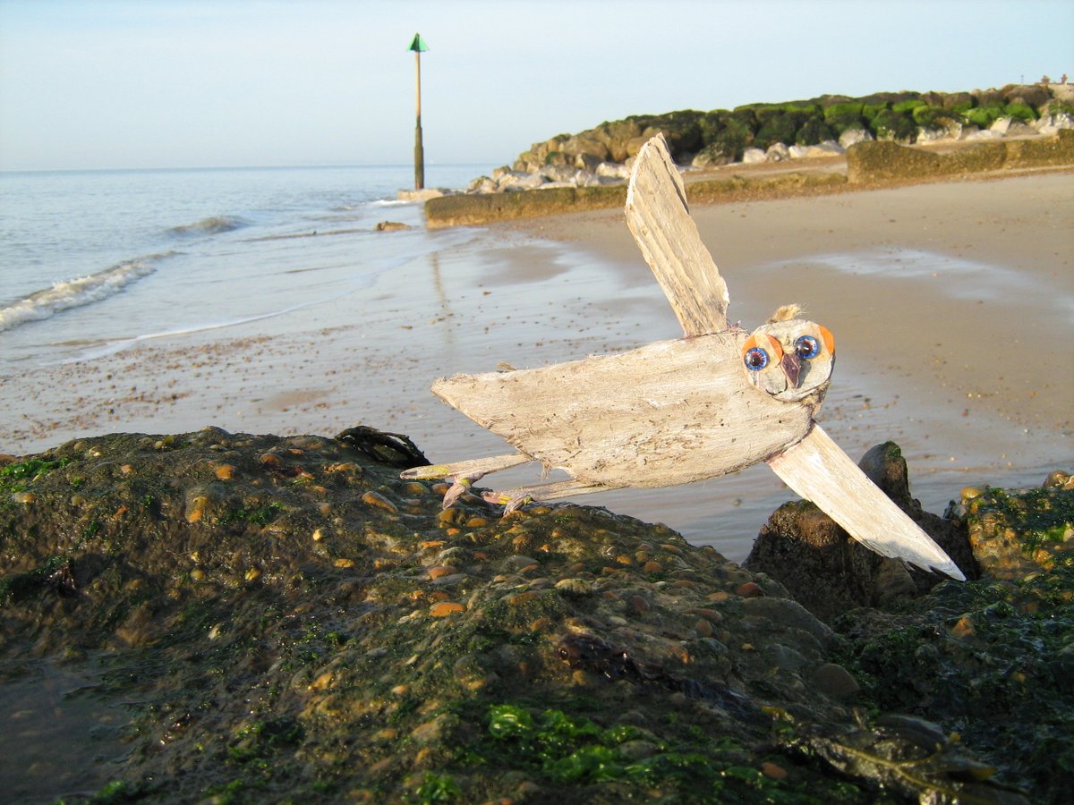 jonnyald's tweet photo. down on Felixstowe beach #seabirds #driftwood #birds #imadethese #ebayshop #ocean #connections #lifesgreat #suffolk #coast https://t.co/nMRHoKYNdY