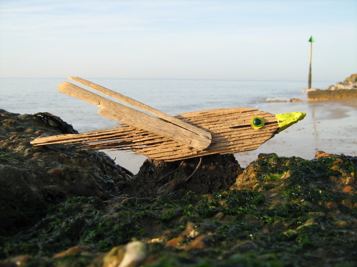jonnyald's tweet photo. down on Felixstowe beach #seabirds #driftwood #birds #imadethese #ebayshop #ocean #connections #lifesgreat #suffolk #coast https://t.co/nMRHoKYNdY