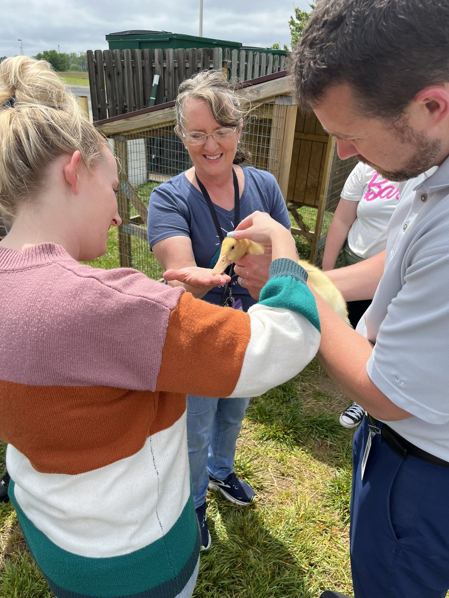 Meet Donald, Daisy, Sunshine, &amp; Quackers, the newest members of the West family and remedy to any stressful day! <a href="/PanthersPwms/">PWMS Panthers</a>