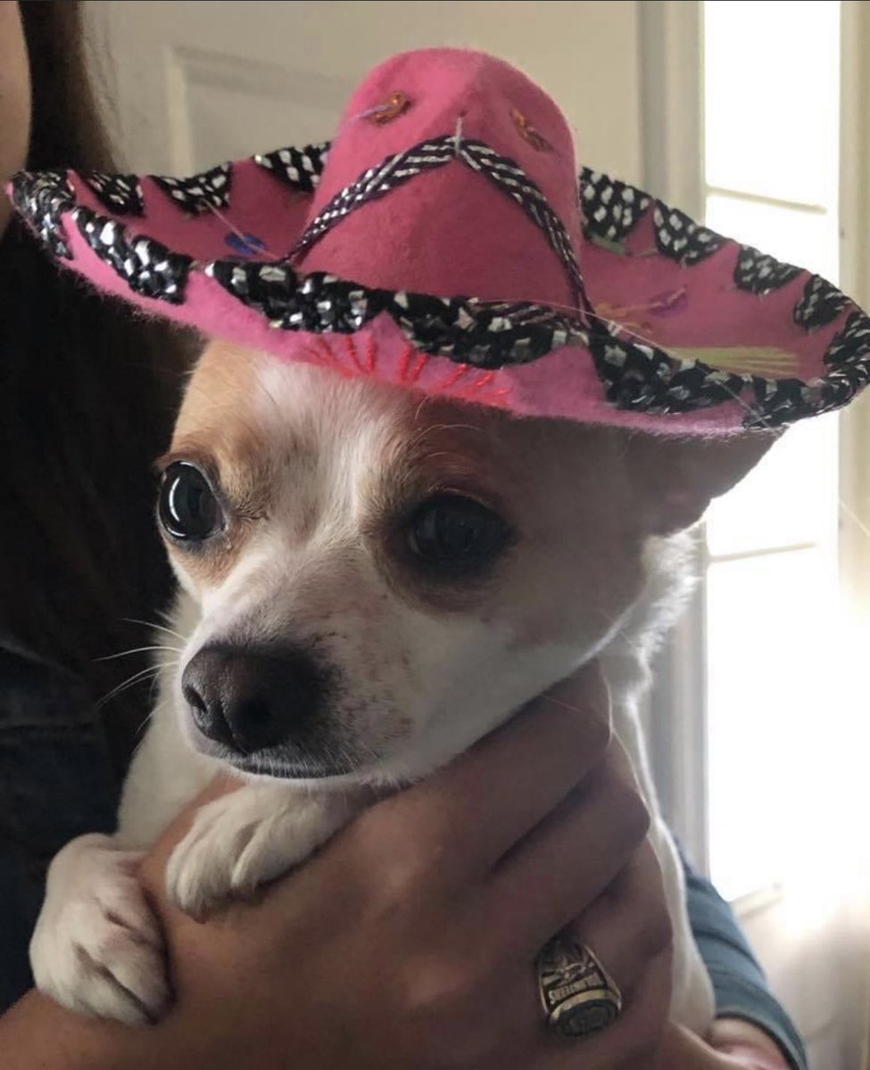 LittleMargaret's tweet photo. Dolly celebrating her heritage! #BestAtHomeContest https://t.co/UjiW1oKrDM