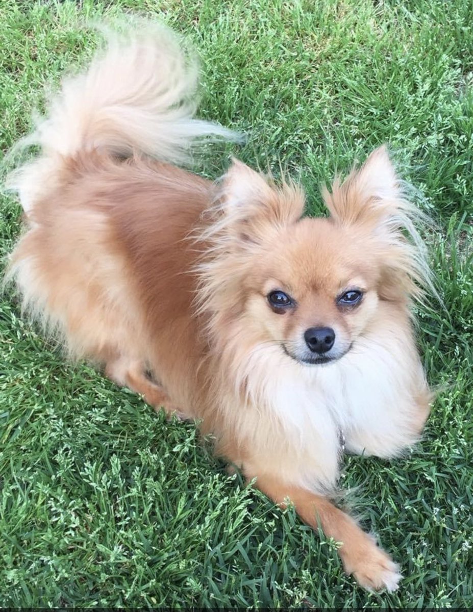 MBresnock's tweet photo. #BestAtHomeContest https://t.co/lq4OLaNUd6