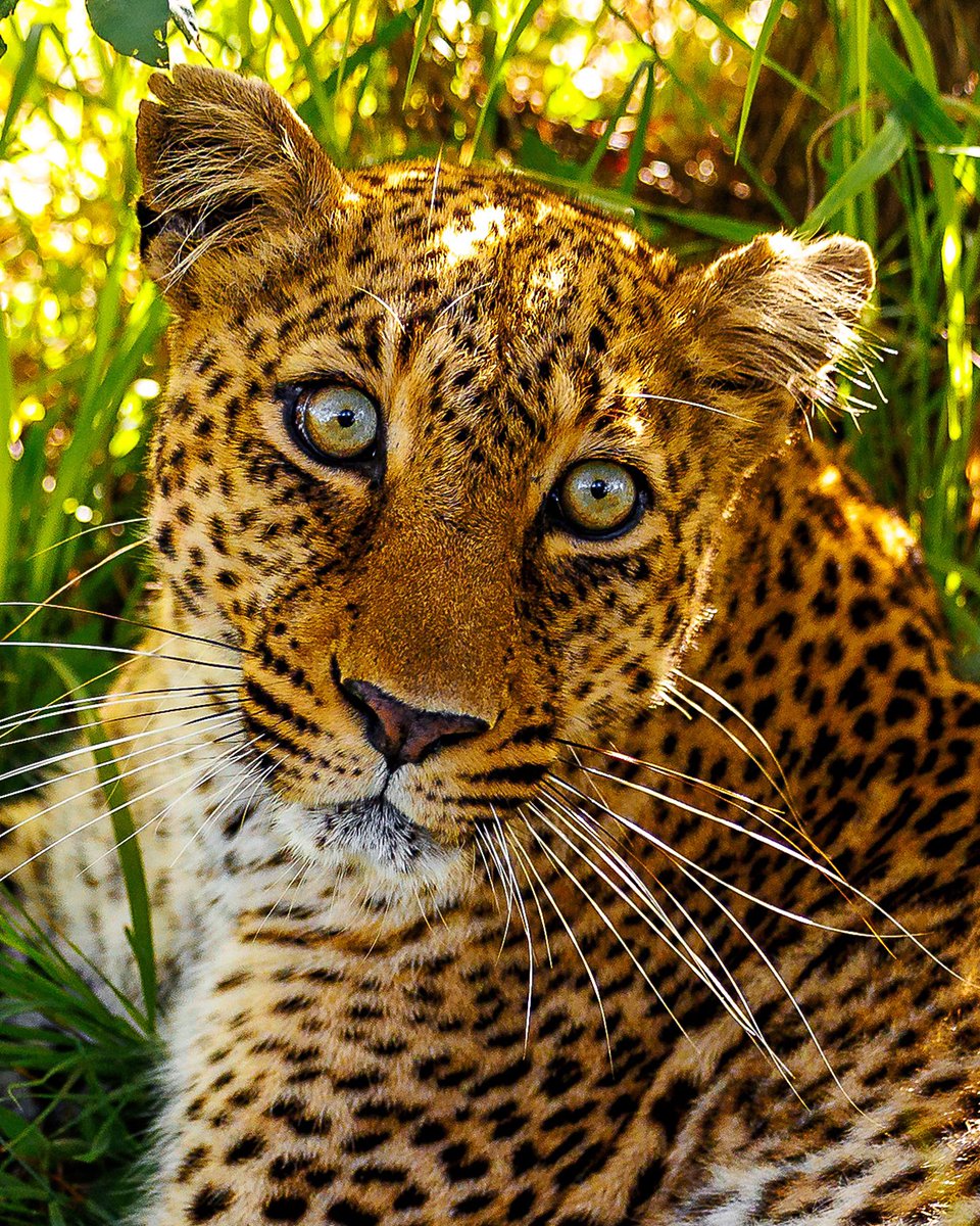 Andy Wenstrand tweet media