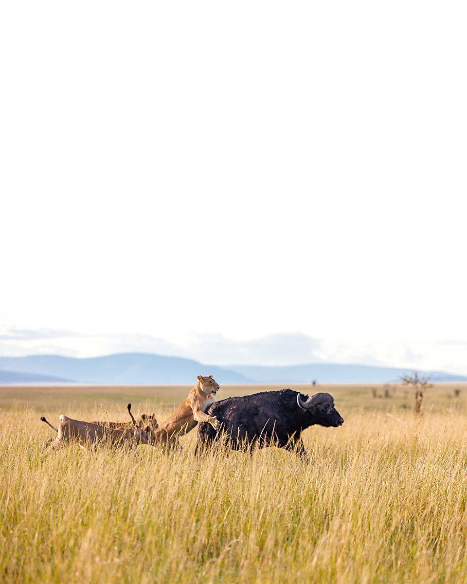 Andy Wenstrand tweet media