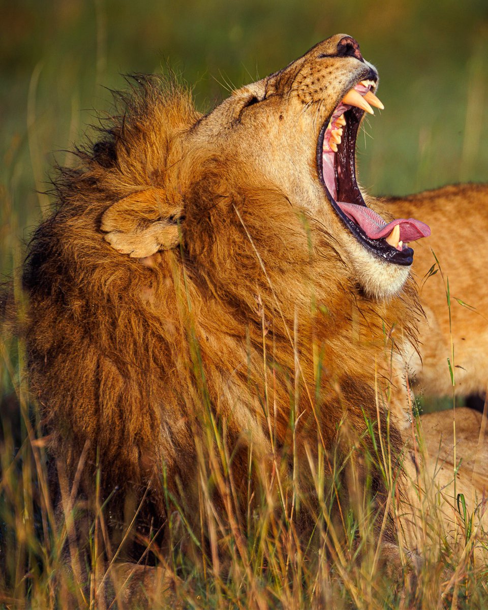 Andy Wenstrand tweet media