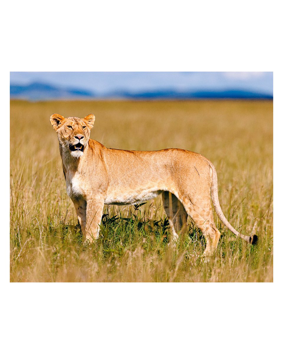 Andy Wenstrand tweet media