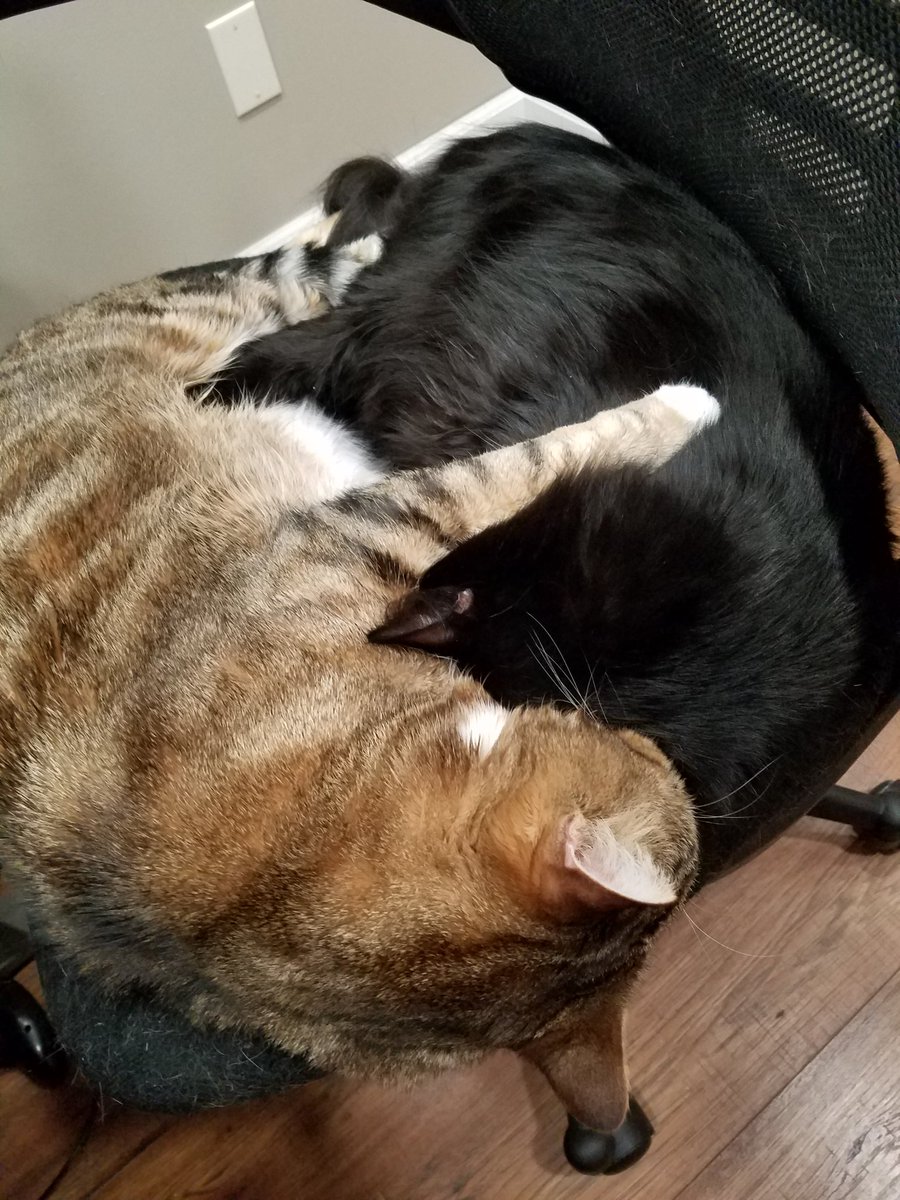 Enjoy some sweet men