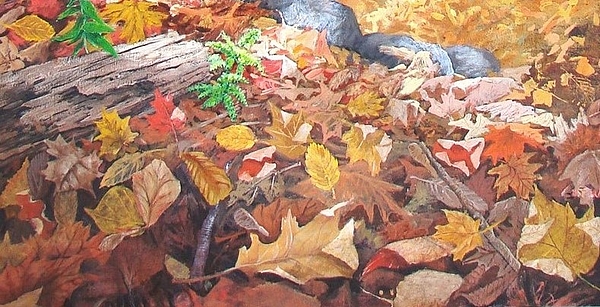 RoseWark1's tweet photo. New artwork for sale! - "Autumn Forest Floor" - https://t.co/1py8GfA04a @fineartamerica https://t.co/crcDpDISna
