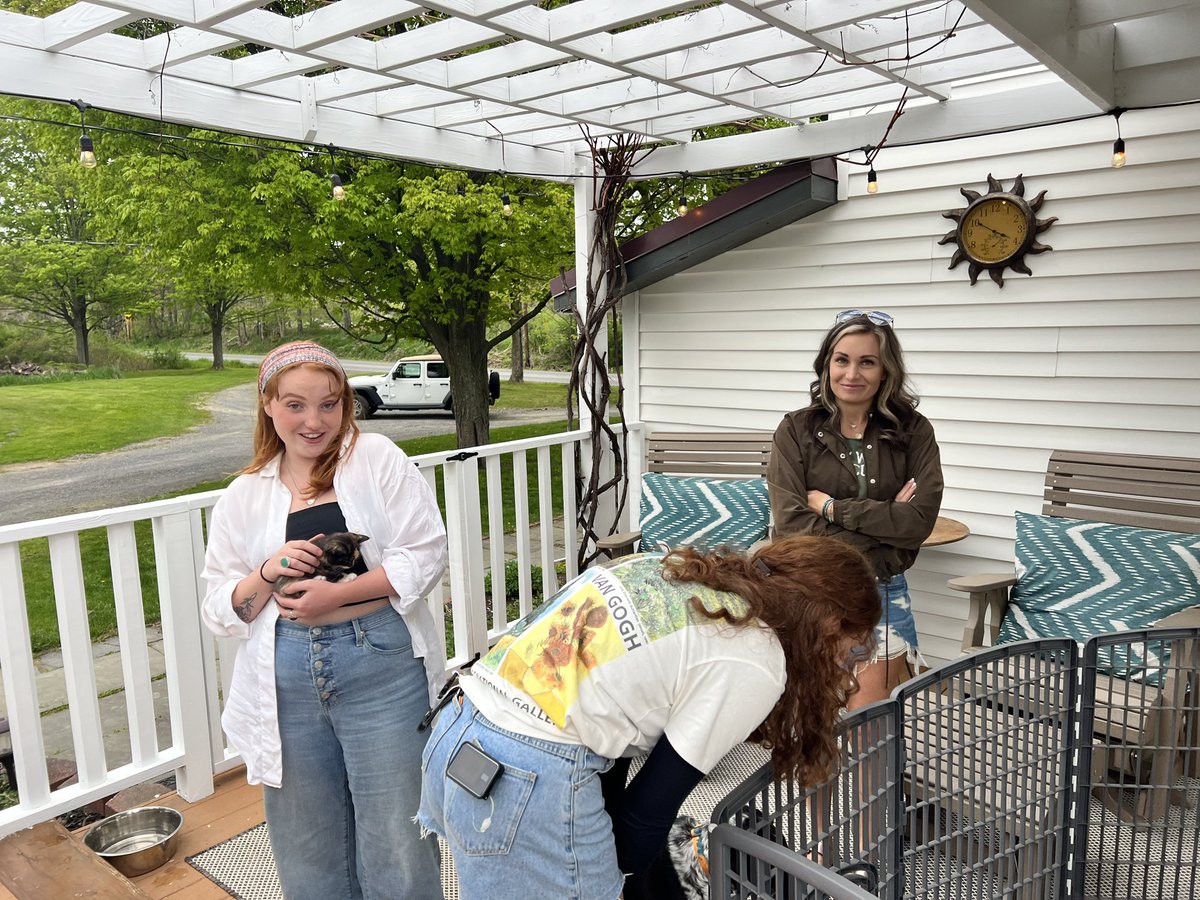 Kristina Dillon tweet media