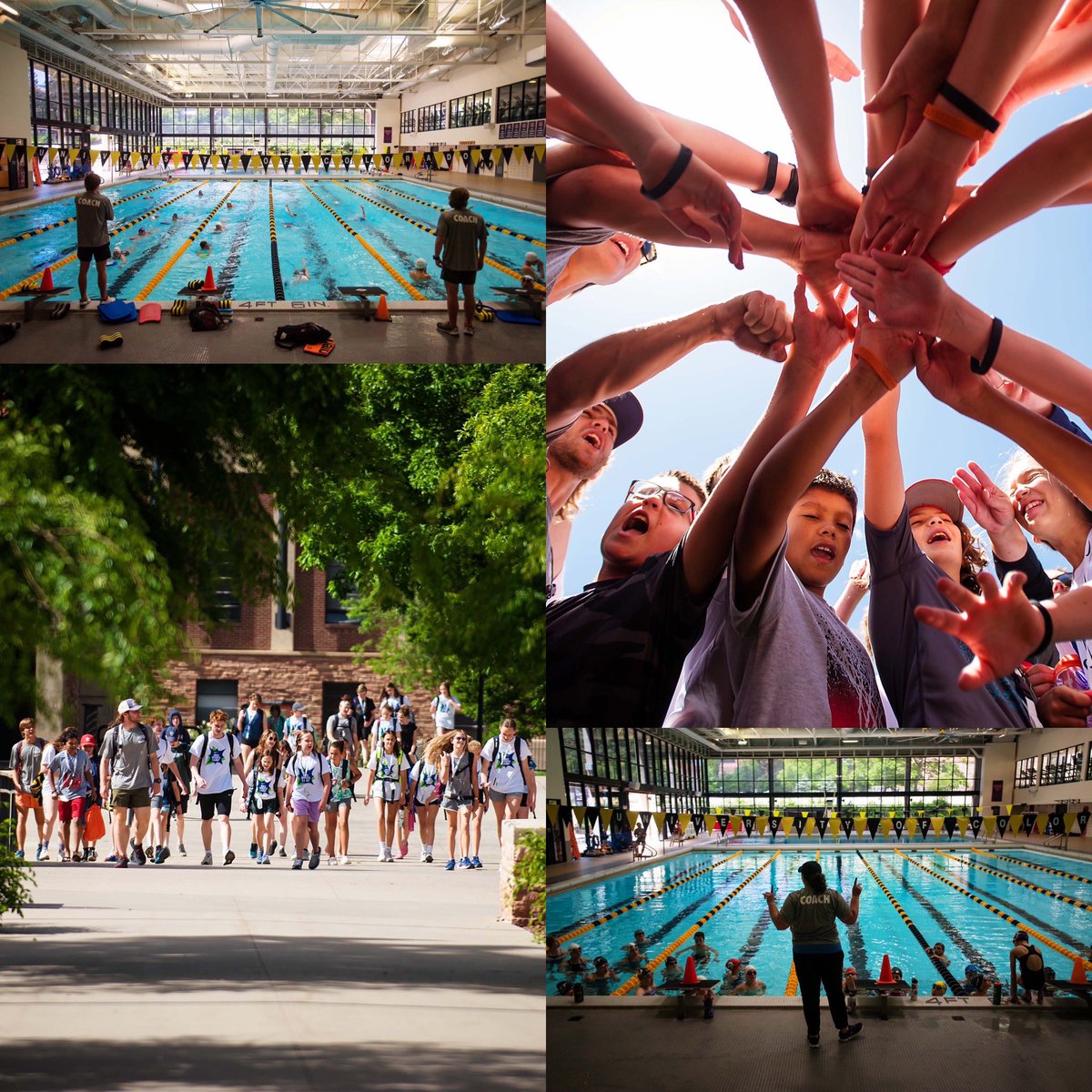 Colorado Swim Camp tweet media
