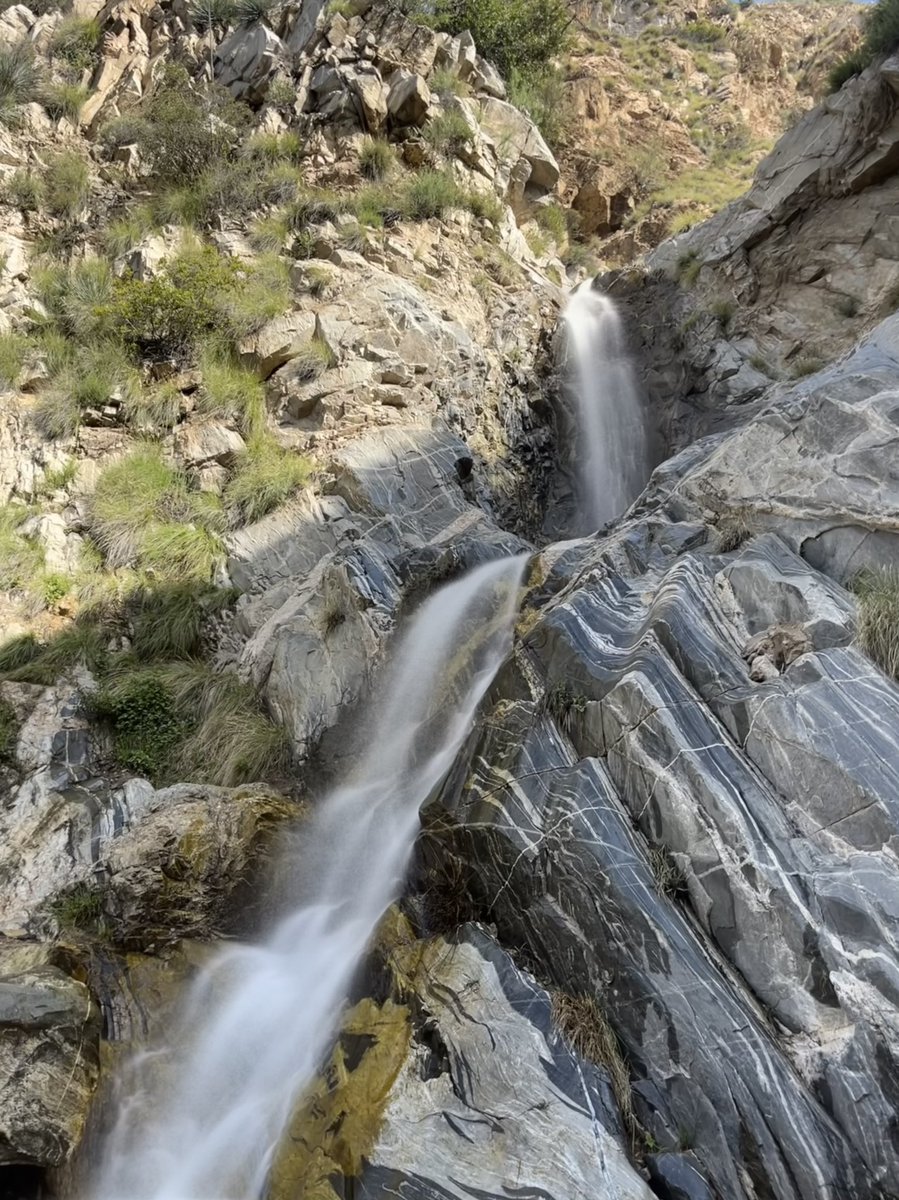 Troutster tweet media