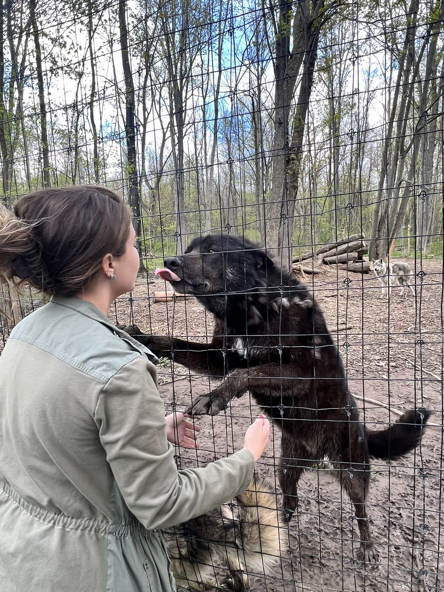 Kristina Dillon tweet media