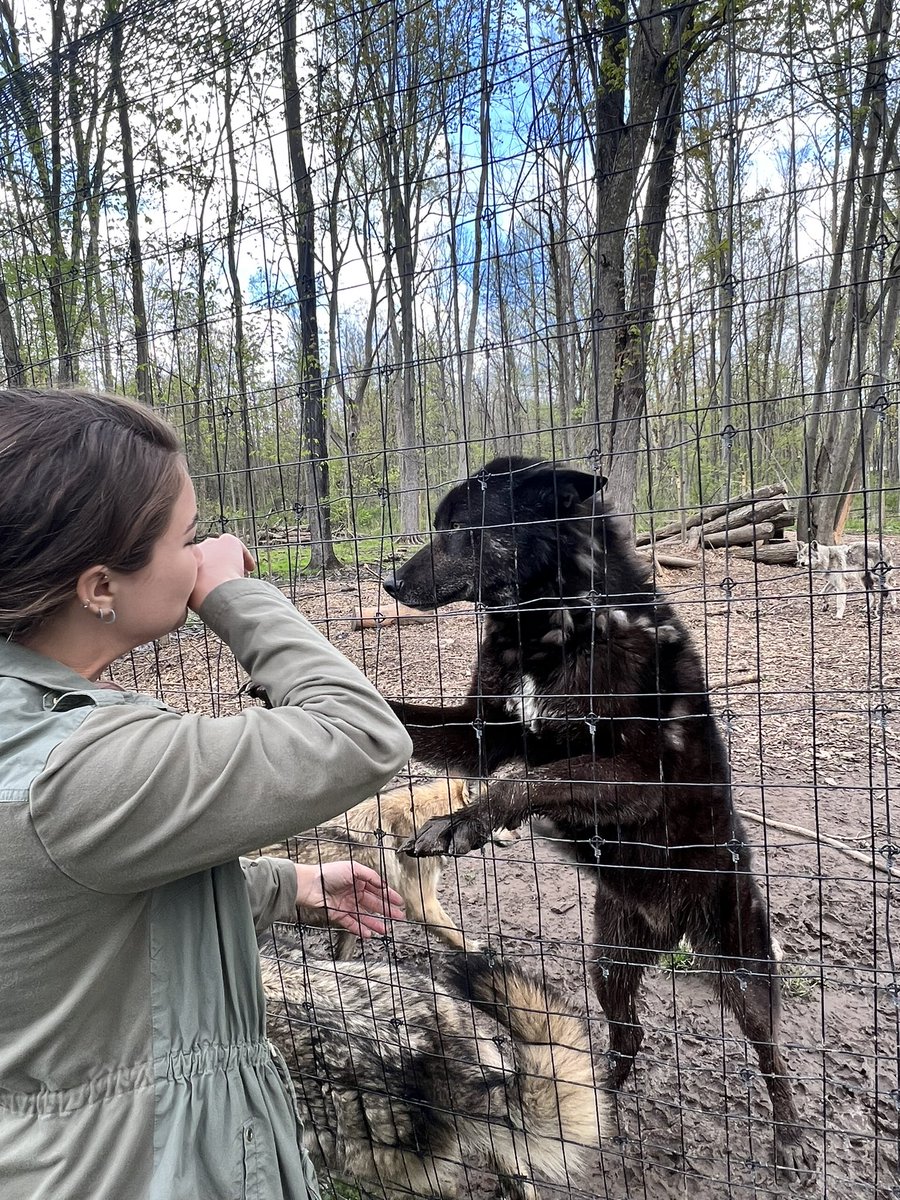 Kristina Dillon tweet media