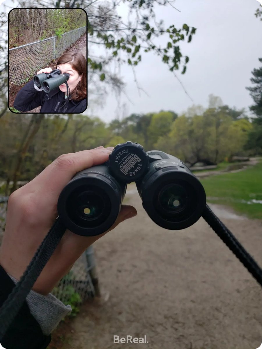 AlexSchaffter's tweet photo. Some incredible #celebirdy sightings this morning.🤩🐦🕊🦅 First little redstart of the year and some sweet little chipping sparrows at High Park duck ponds. #TOBirdParty @BirdsCanada_ON https://t.co/AKC75kVg6Q
