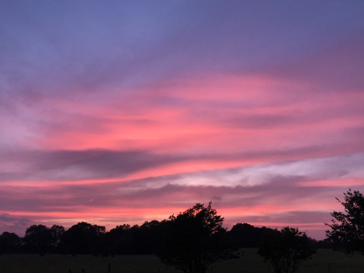 Pretty in pink. #farmlifebestlife #gawx <a href="/spann/">James Spann</a> @RyanBeesleyFox5