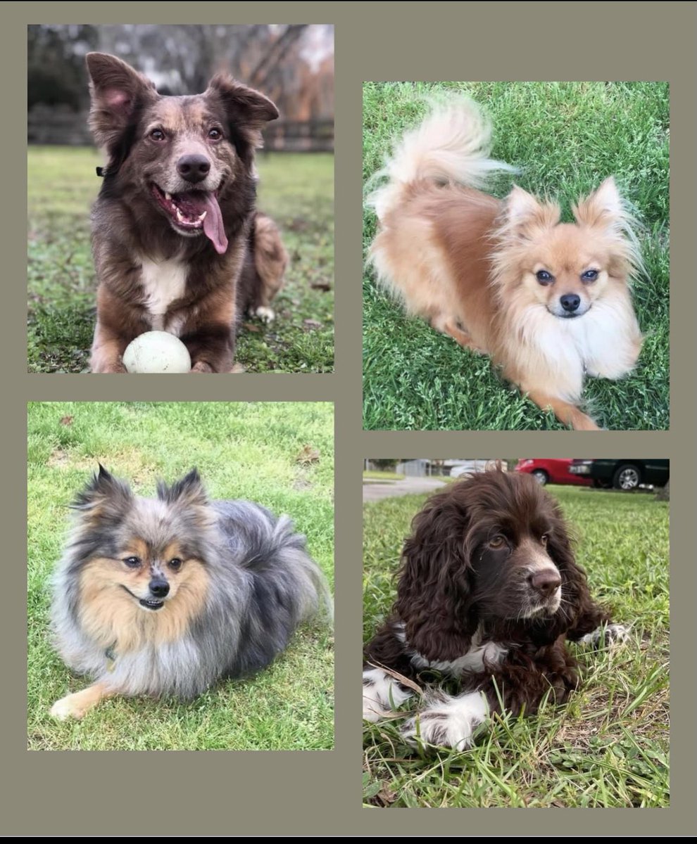 MBresnock's tweet photo. #BestAtHomeContest https://t.co/PsB9ZjJVms