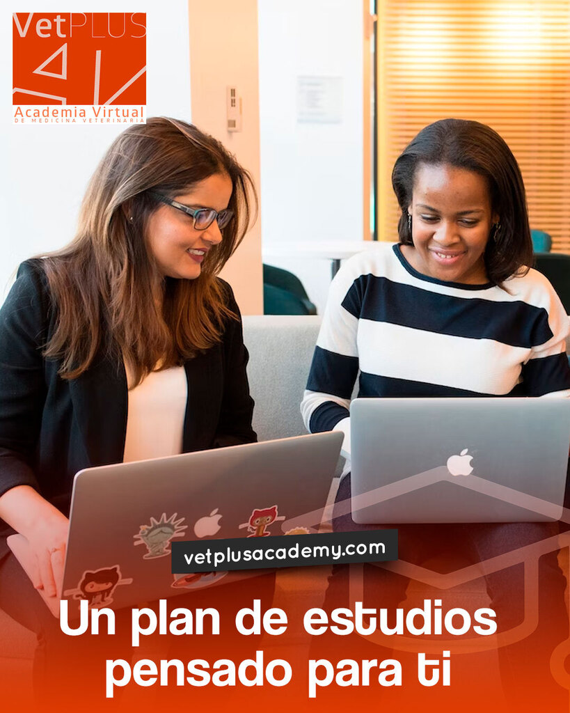 vetplusacademy's tweet photo. Aprovecha al máximo lo que tu academia virtual pone a tu disposición: 

 📌Grupos de estudio.
 📌Podcasts Lecciones de estudio VetPlus Academy. 
📌Grupo Telegram permanente. 
Ya salió la actualización de la 📌Revista científica del Decanato de Ciencias V… https://t.co/D2YApIHoQ7 https://t.co/jpjnQ5Lhzo