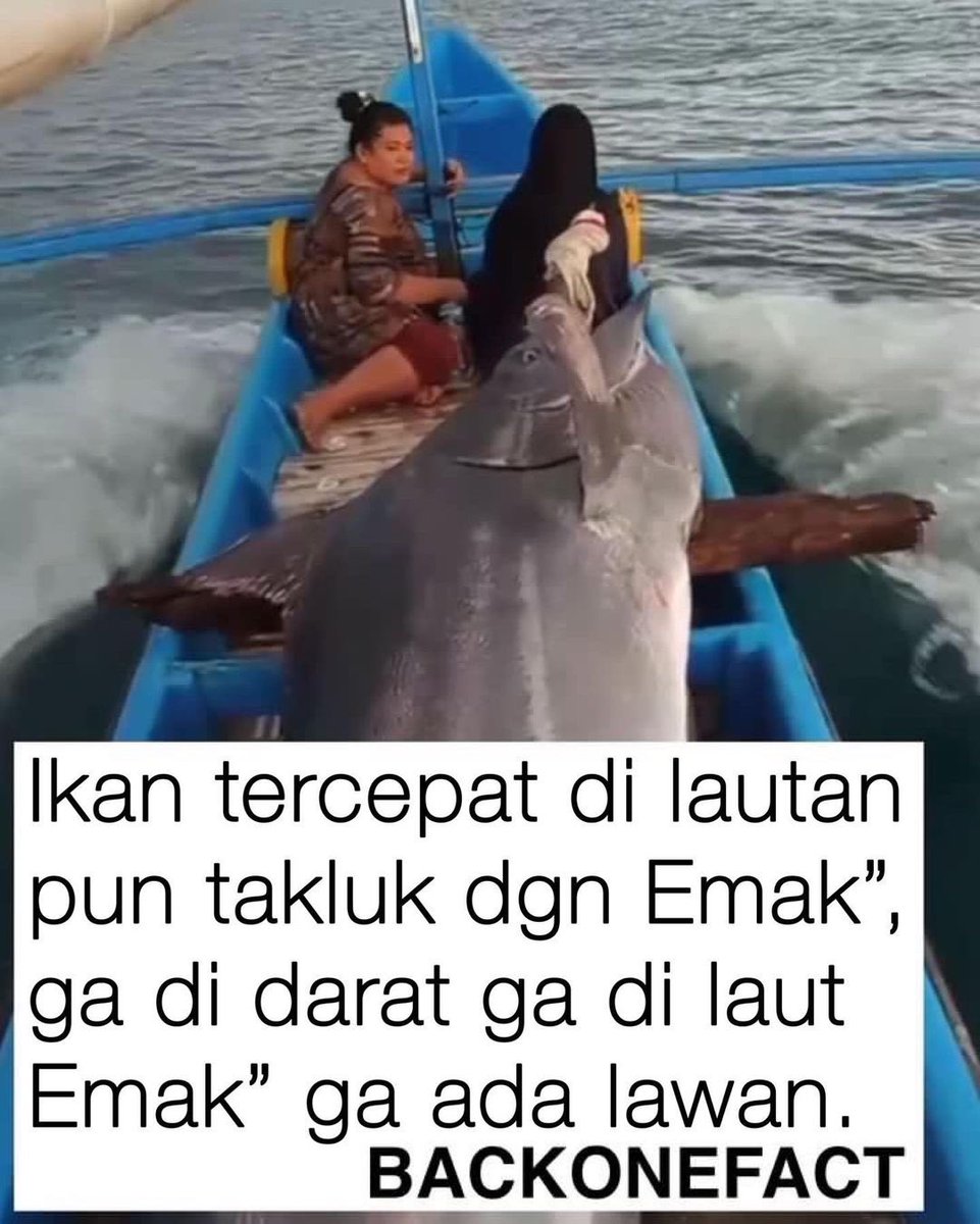 bertusan tweet media