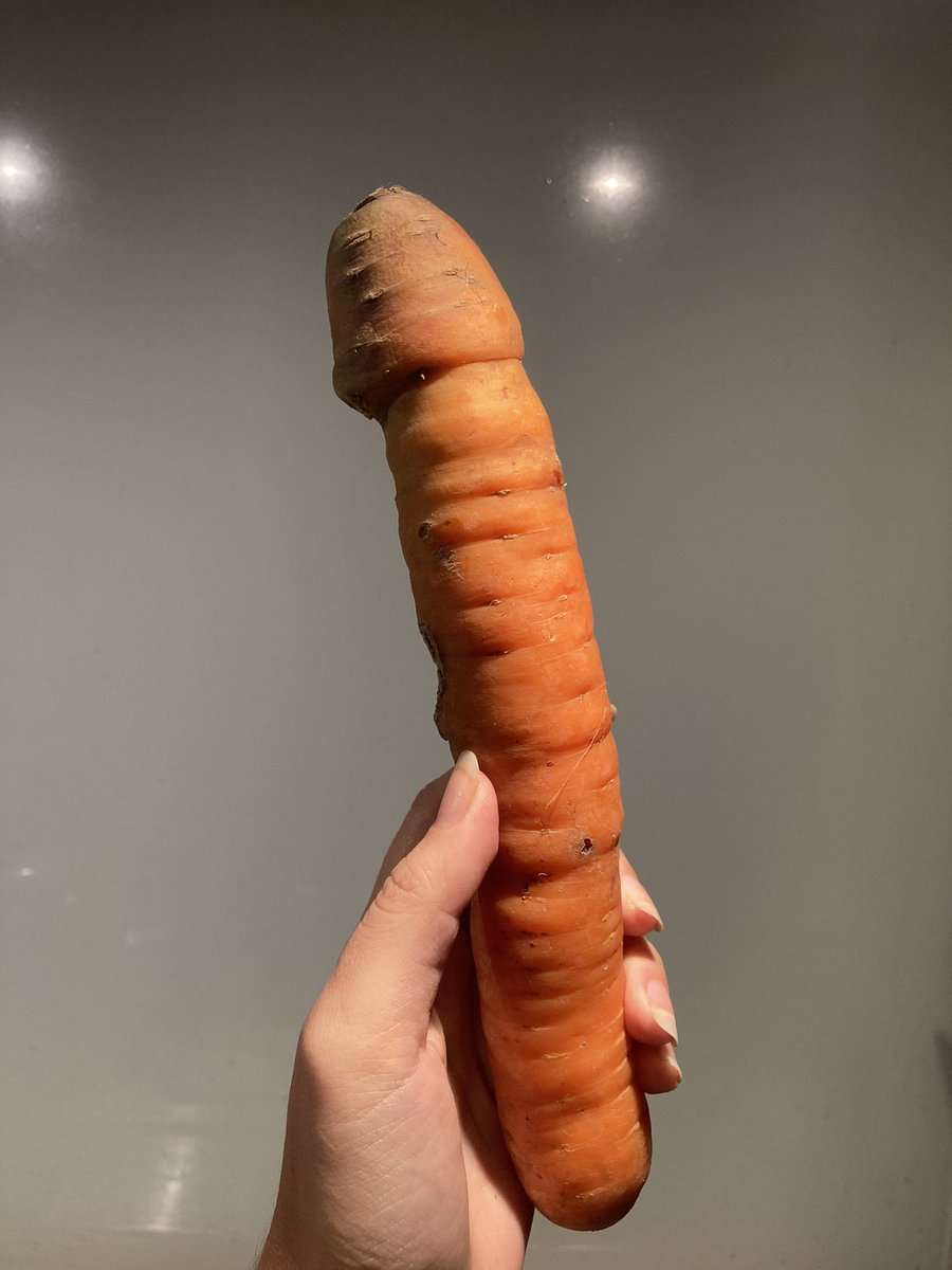 SofiaMainardi's tweet photo. intimidada pela cenoura que eu trouxe da feira sem perceber https://t.co/Ar6nNUyLqQ