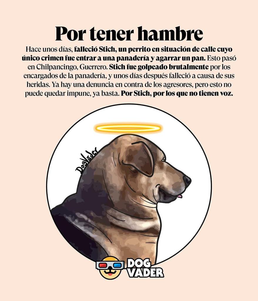 DefensaAnimal's tweet photo. 👉🏻🐾Éste crimen NO puede quedar impune, la muerte de Stich es un hecho lamentable, cruel e inhumano CASTIGO a la persona responsable y #JusticiaParaStich👇🏻💔
🚨 ATENCIÓN AUTORIDADES ¡Necesitamos acciones y respuestas! 🚨
@Gob_Guerrero 
@EvelynSalgadoP 
@FGEGuerrero 
@SandraLuz_V https://t.co/453CoZmLjK