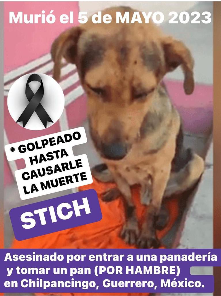 👉🏻🐾Éste crimen NO puede quedar impune, la muerte de Stich es un hecho lamentable, cruel e inhumano CASTIGO a la persona responsable y #JusticiaParaStich👇🏻💔
🚨 ATENCIÓN AUTORIDADES ¡Necesitamos acciones y respuestas! 🚨
<a href="/Gob_Guerrero/">Gobierno de Guerrero</a> 
<a href="/EvelynSalgadoP/">Evelyn Salgado Pineda</a> 
<a href="/FGEGuerrero/">FGE Guerrero</a> 
@SandraLuz_V