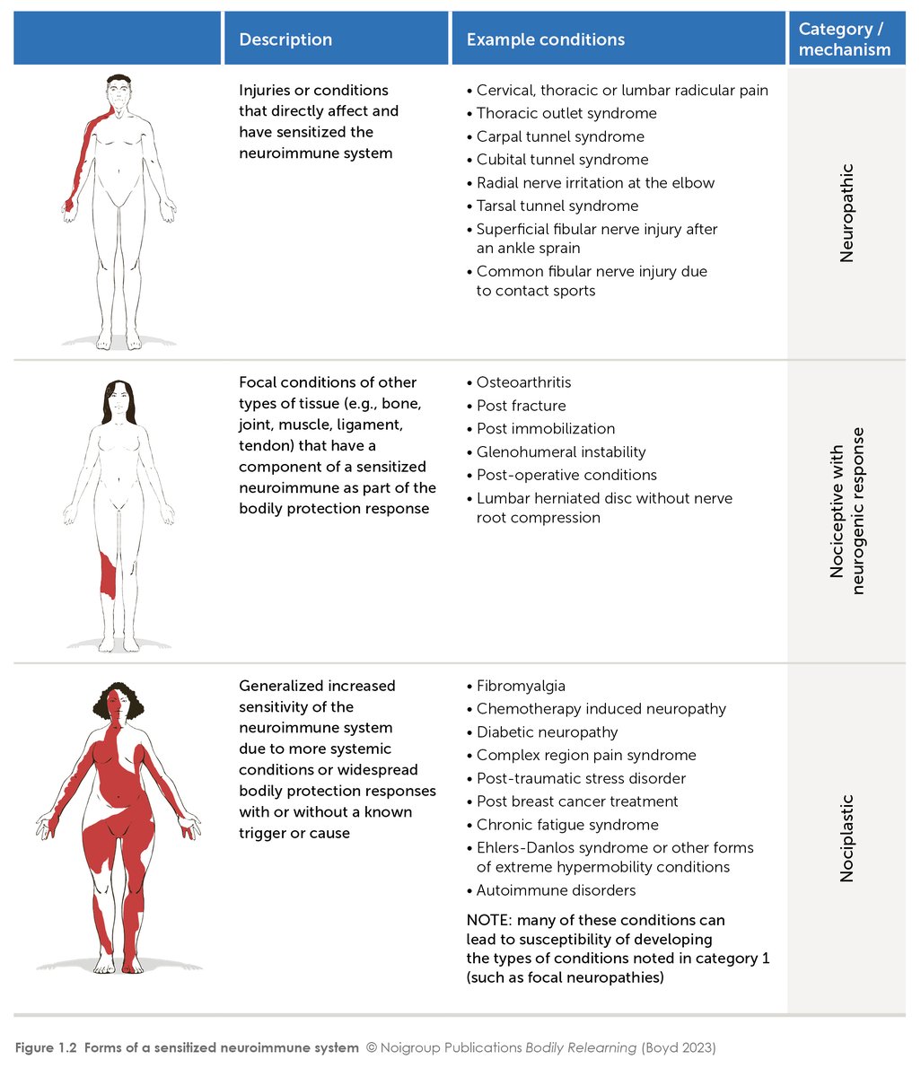 noigroup's tweet image. Bodily Relearning from Ben Boyd is about pain, all pain, and real practical strategies to help people to suffer less and do more. Pre-order here noigroup.com/product/bodily…