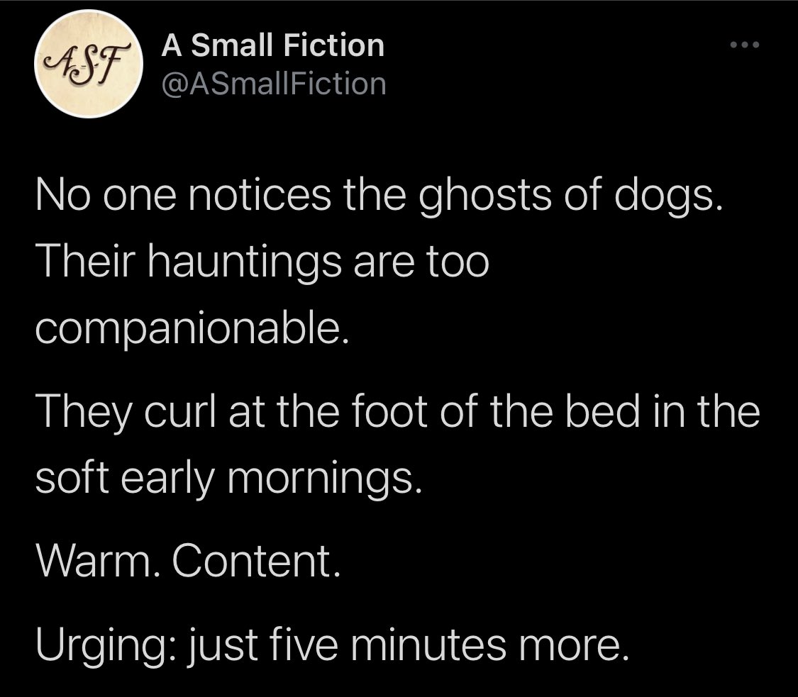 sumguywithdogs's tweet photo. @RocRedWings Too soon. This poem gave me comfort when we lost our Jackson in 2021. I hope your people get five minutes more with you every morning. https://t.co/90rOG26Whs