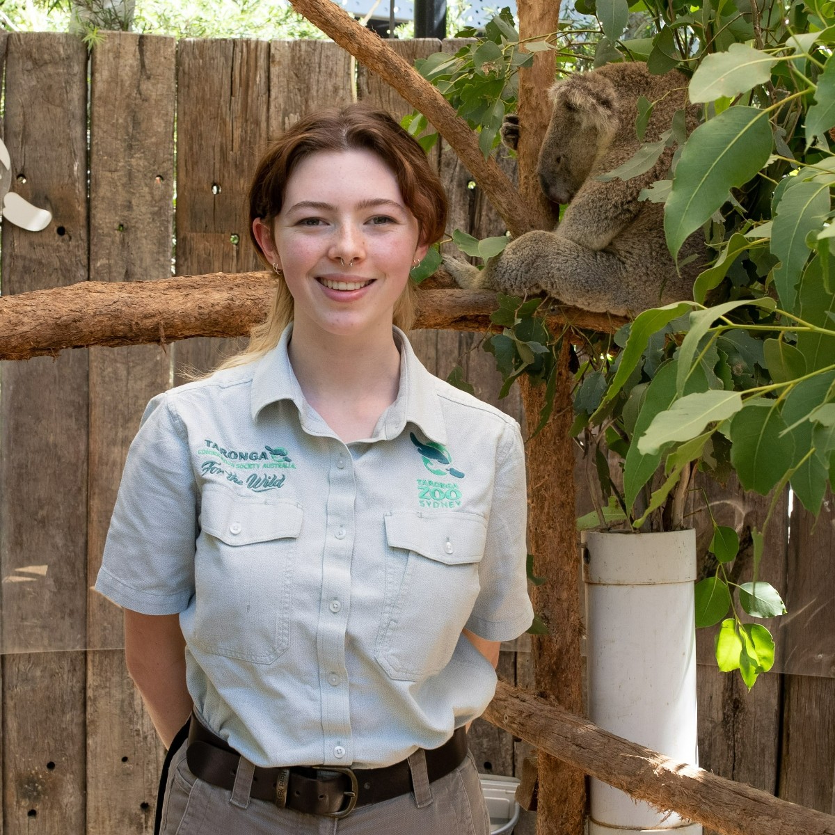 NSW Dept of Education (@nsweducation) on Twitter photo Year 12 Wiradjuri woman, Tessa, is completing an SBAT at <a href="/tarongazoo/">Taronga Zoo</a> as part of her HSC.
"It’s just been an amazing experience and opportunity to be able to push myself as far as I have."
👉 Follow Tessa's HSC journey and My Future, My Culture, My Way: fal.cn/3y4BW Year 12 Wiradjuri woman, Tessa, is completing an SBAT at <a href="/tarongazoo/">Taronga Zoo</a> as part of her HSC.
"It’s just been an amazing experience and opportunity to be able to push myself as far as I have."
👉 Follow Tessa's HSC journey and My Future, My Culture, My Way: fal.cn/3y4BW