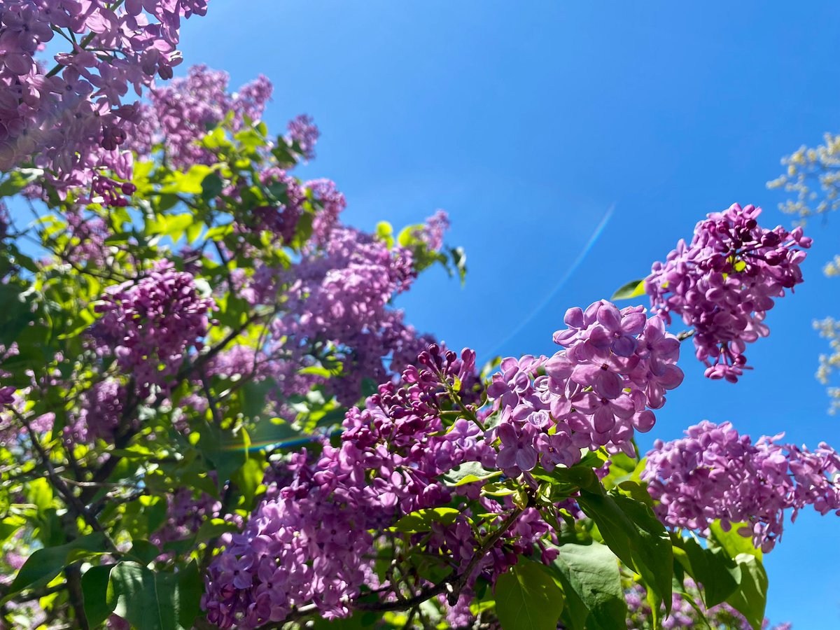 doolset🍊 tweet media