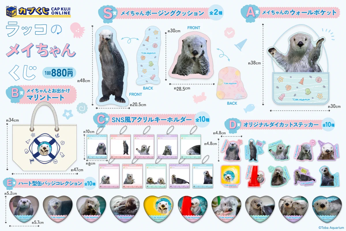 鳥羽水族館（TOBA AQUARIUM） on X: 