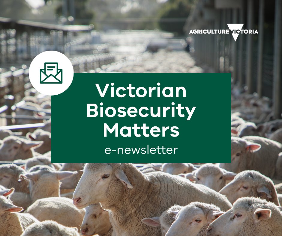 Keep your finger on the pulse of Victoria’s agriculture industry, with our new e-newsletter,

Subscribe now and stay informed go.vic.gov.au/3NMOk35

#biosecurity #livestock #agriculturevictoria