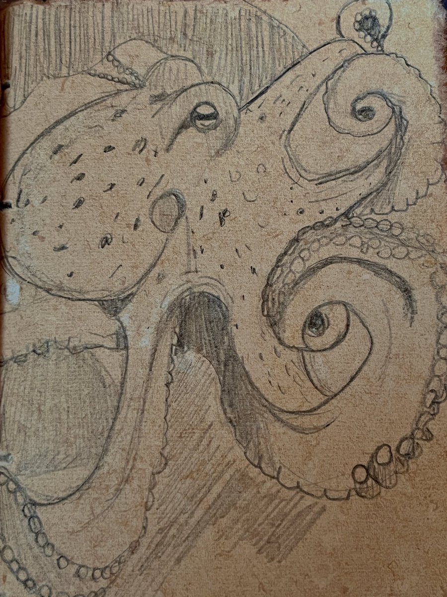 cairnosaurusart's tweet photo. A drawing of a cute little octopus! I have this new sketch book and I really like the color of the paper 
-
-
#octopus #octopi #art #artist #myart #sketchbook #sketch #sketches #marineart #marineanimal #animal #octopusdrawing #drawing #myart #pencil https://t.co/BWWKihH3TQ