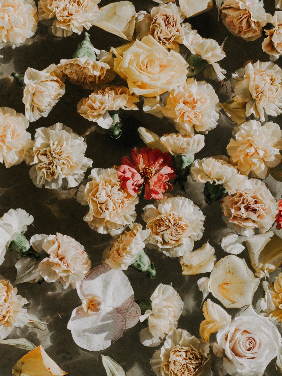 rustywright_'s tweet photo. Wedding flowers. A series. https://t.co/O5HeHzR6Tr